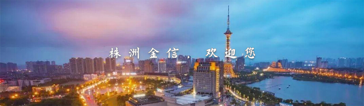 湖南瑞龙碳素制品有限公司